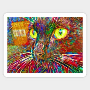 Yellow Eyed Cat Sticker